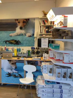 Höganäs Veterinären